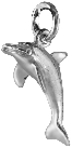Bottlenose Dolphin, small