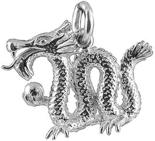 Chinese Dragon. / Year Of The Dragon
