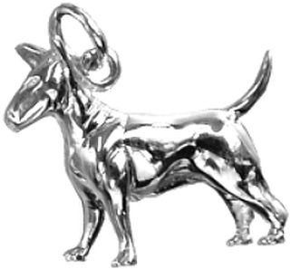Bull Terrier Dog