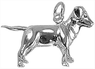 Labrador Dog / Year of the Dog