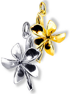 Frangipani Flower