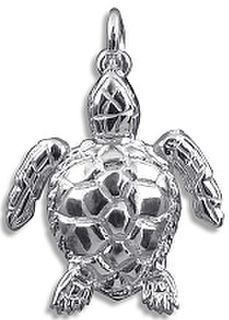 Turtle or Tortoise