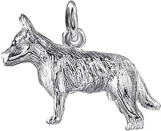 Blue Heeler, Australian Cattle Dog.
