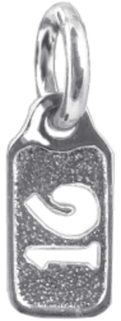 Mini 16 Tag
