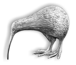 Kiwi