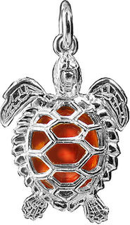 Brown Turtle