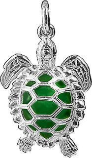 Green Sea Turtle