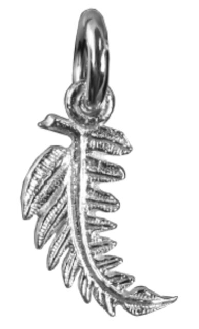 Mini Fern