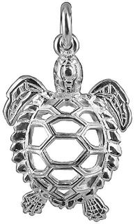 Pierced Shell  Turtle