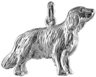 Retriever