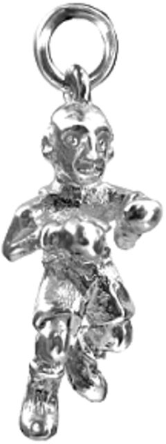 The Boxer