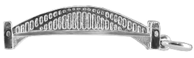 Sydney Harbour Bridge, large