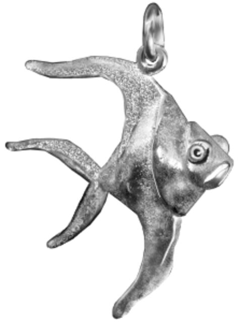 Angel Fish. large