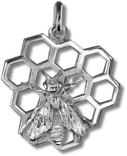 Honey Bee on Comb
