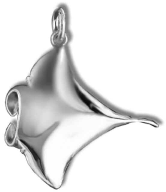 Manta Ray