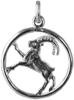 Capricorn : Dec 23rd-Jan 20th.