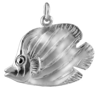 Parrot Fish;   lge.