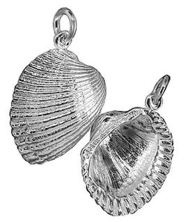 Cockle Shell: lge