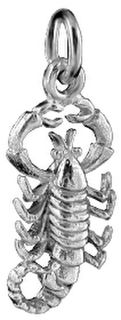 Scorpio : Oct 24 - Nov 27       The Scorpion;sm