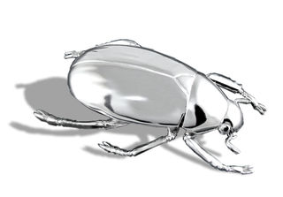 Scarab Beetle