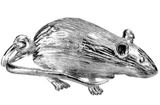 Rat or Large Mouse / Year of Rat