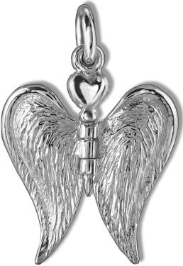 Your Guardian Angel Wings.
