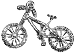 Bicycle - Mountain Bike
