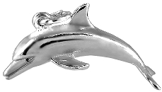 Bottle Nose Dolphin