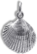 Cockle Shell sm