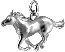 Horse, Galloping