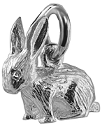 Rabbit, small