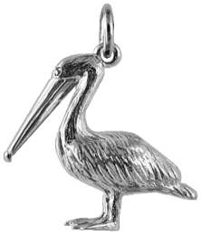 Pelican. large