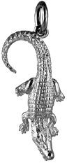 Salt Water Crocodile, medium