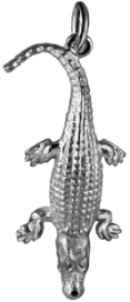 Salt Water Crocodile Large