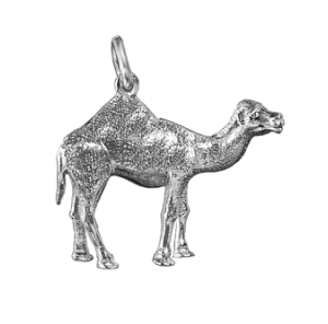 Camel, small