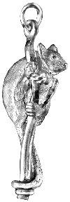Ringtail Possum  ; medium