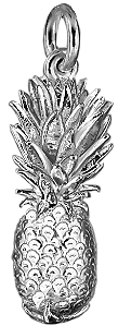 Pineapple; medium