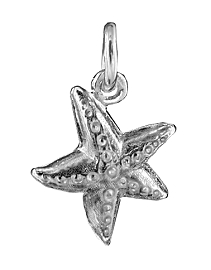 Star Fish; mini