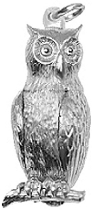 Owl with Moving Head