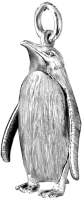 King Penguin