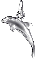 Hectors or Maui's Dolphin