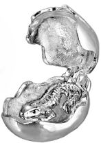 Tuatara or Dragon in Egg