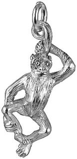 Spider Monkey / Year of the Monkey