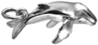Humpback Whale