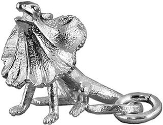 Frilled Neck Lizard, large