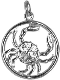 Cancer circle :  June 22 - July 23     The Crab