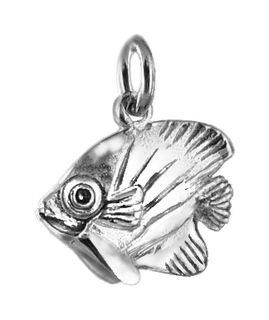 Parrot Fish; small