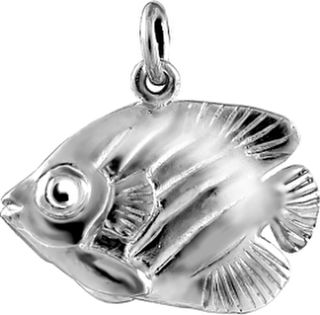 Parrot Fish ; Med.