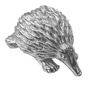 Echidna; Small