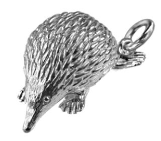 Echidna; Med.